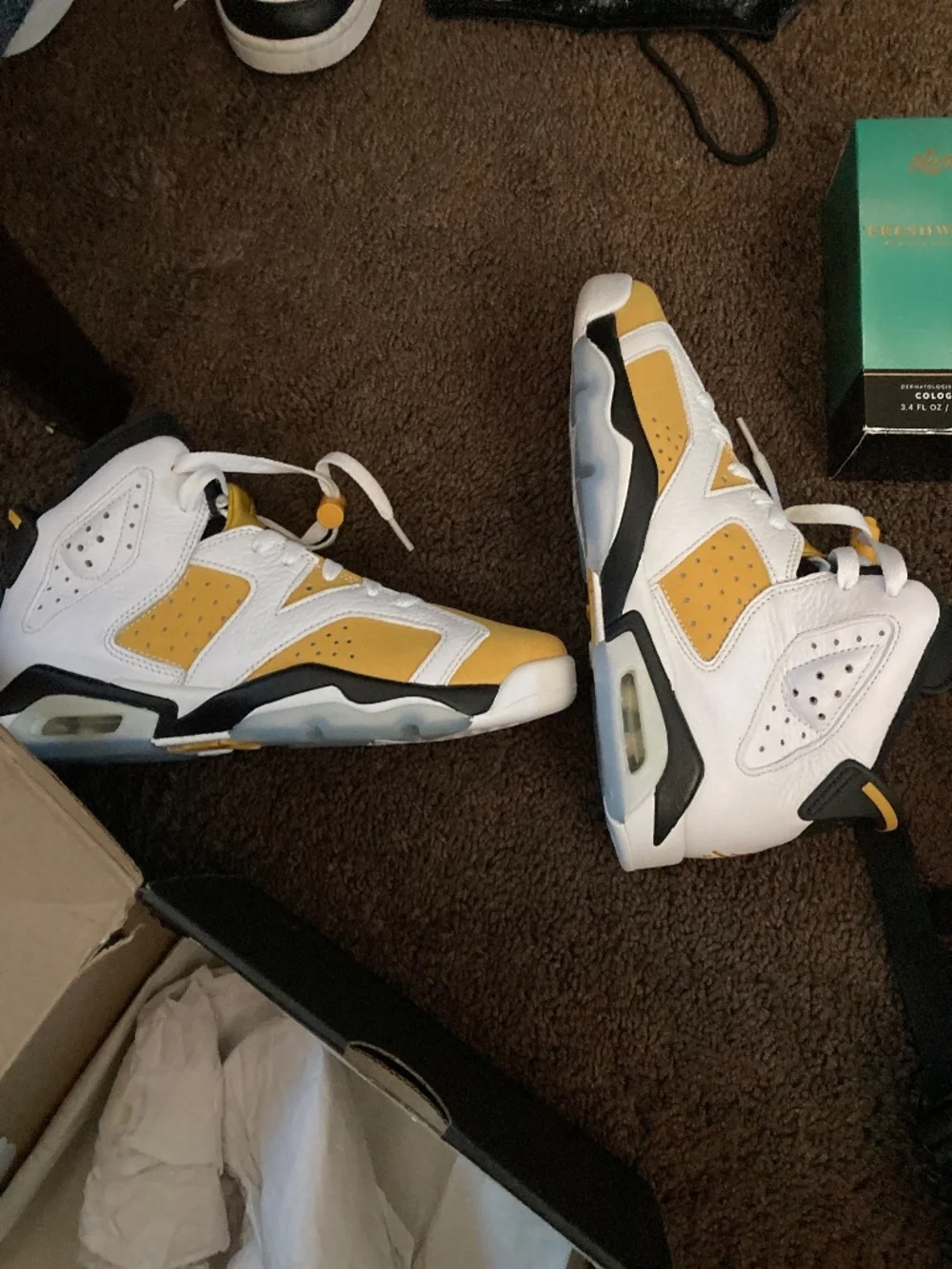 Jordan retro 6